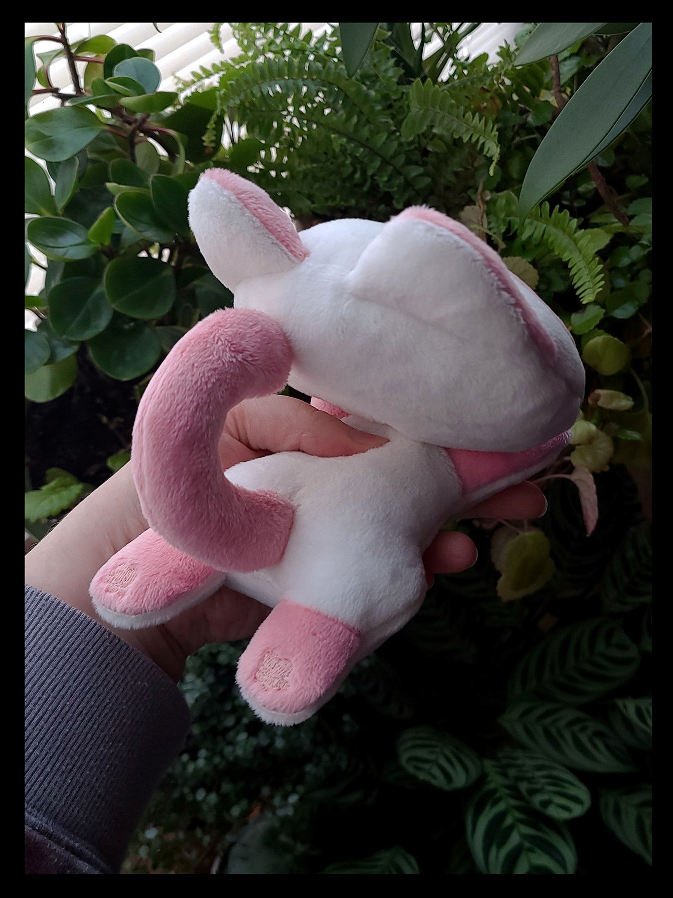 Sugar Cookie Cat Plush