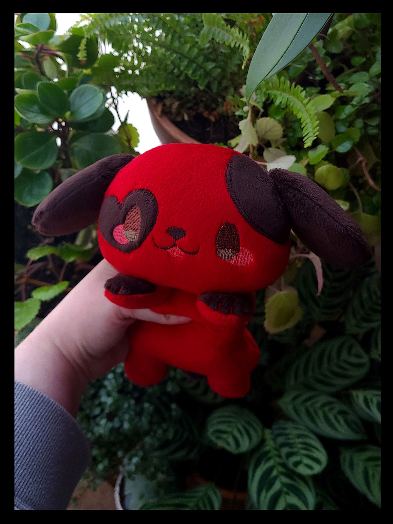 Valentine's Cherry Dog