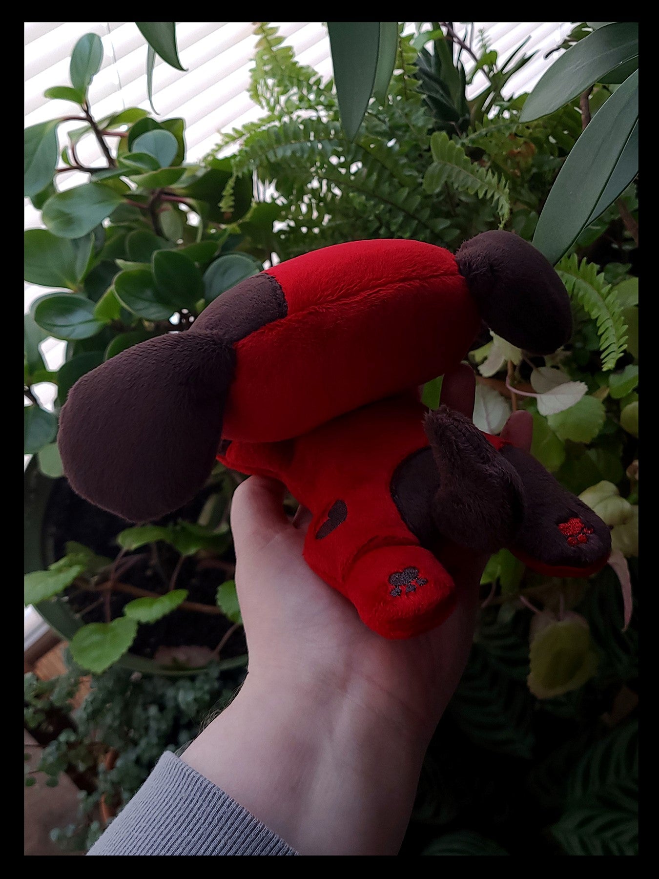 Valentine's Cherry Dog