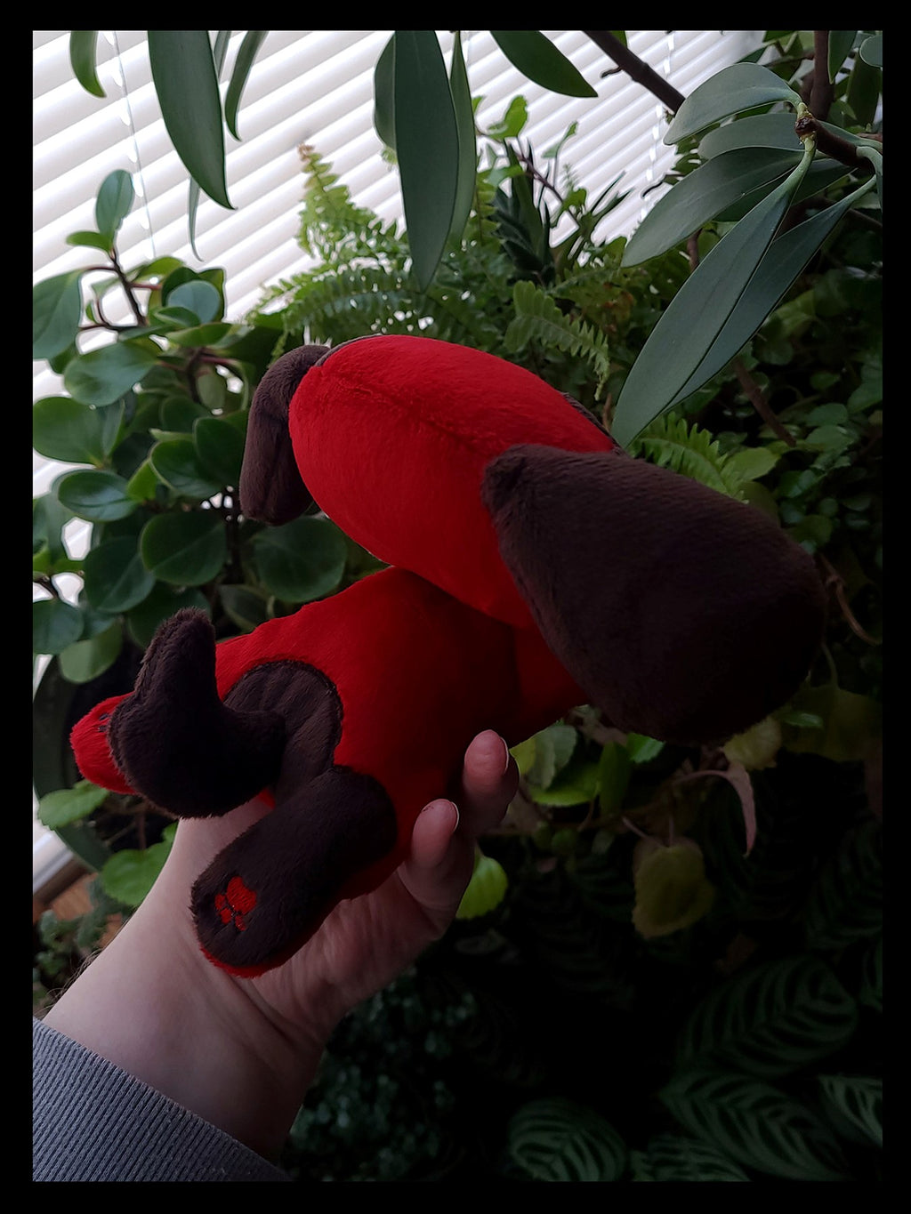 Valentine's Cherry Dog