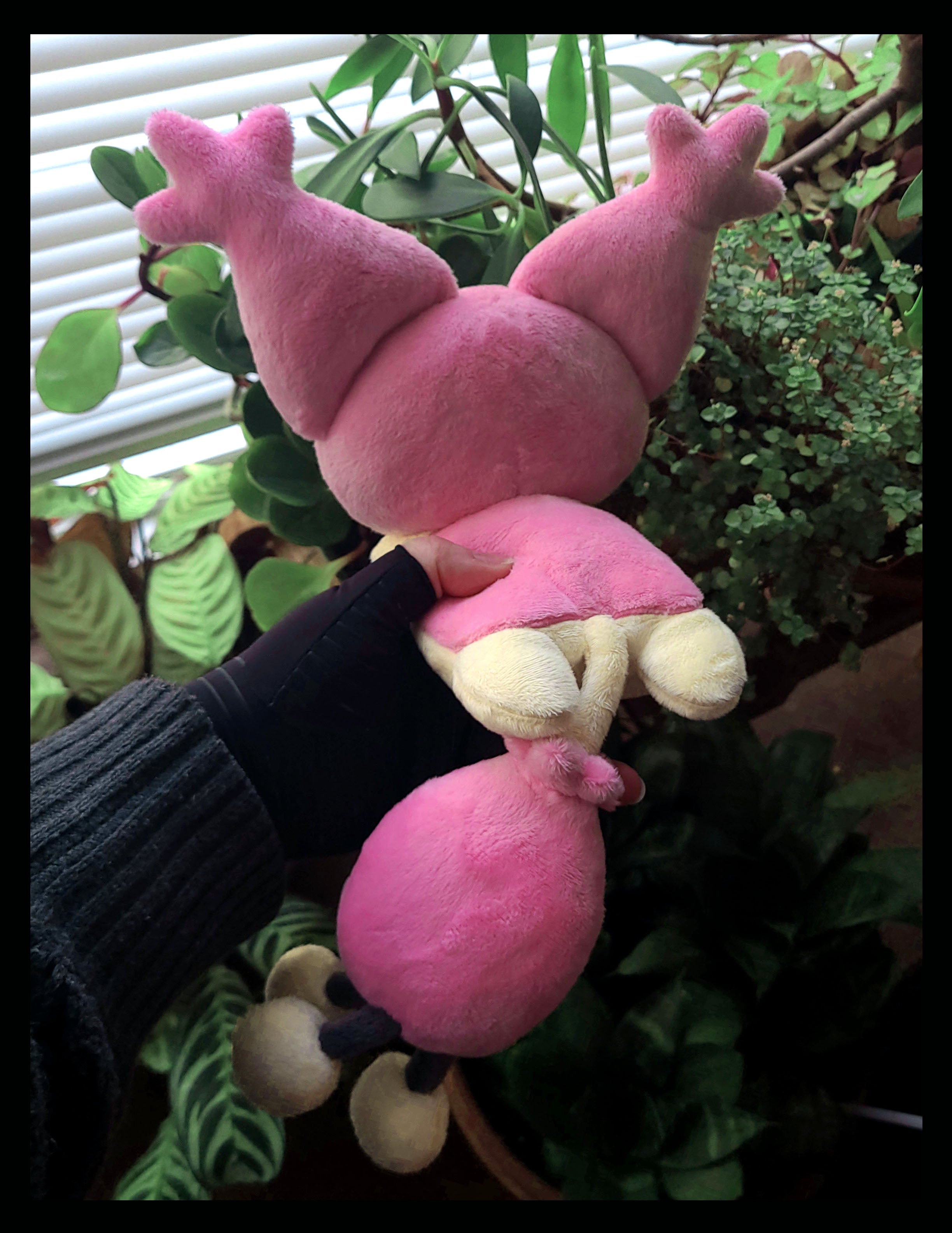 Sweet Kitty Plush